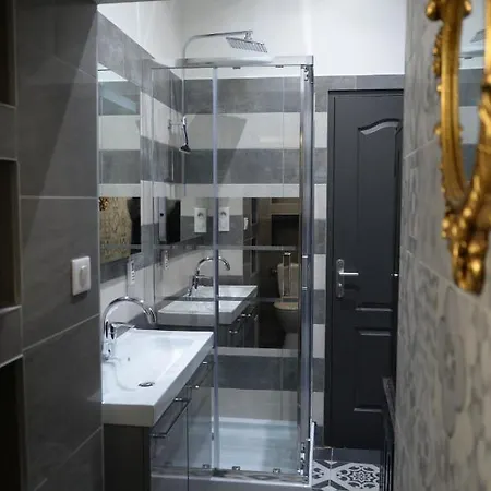 Le Stanislas, Un Style! アパート ナンシー